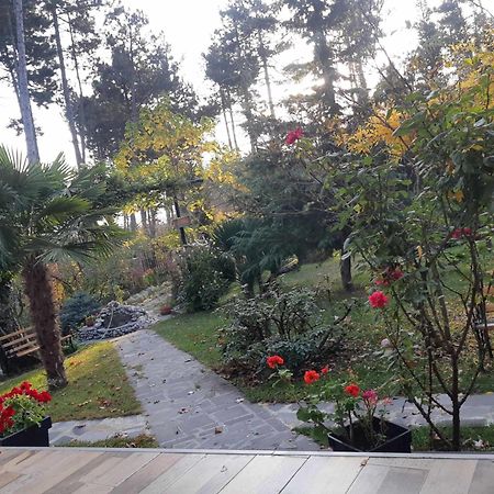 Neli & Zaal Guest House 텔라비 외부 사진