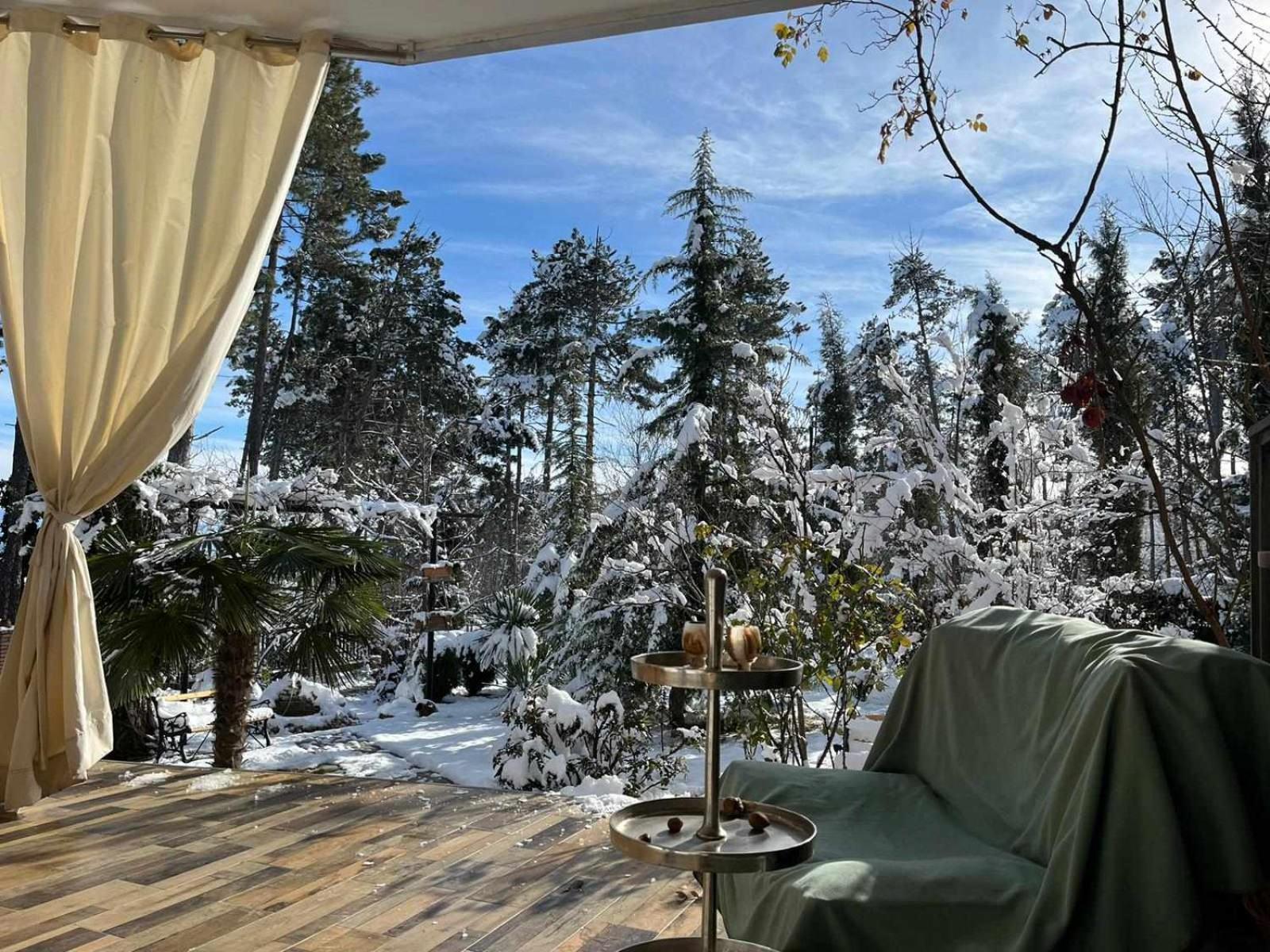 Neli & Zaal Guest House 텔라비 외부 사진