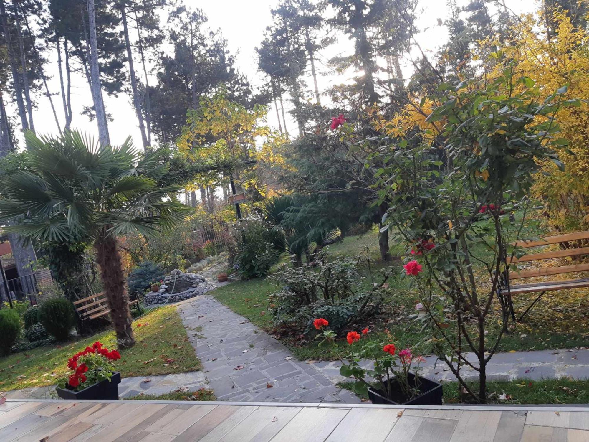 Neli & Zaal Guest House 텔라비 외부 사진